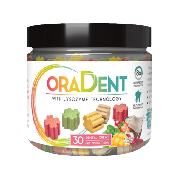 OraDent חטיף מקל פירות מיני דנטלי 230 גרם