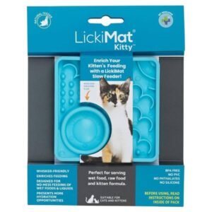 ליקי מט קיטי Kitty לגורי חתולים