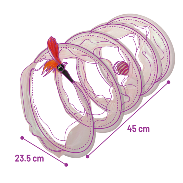 Flamingo מנהרה קנדי עם כדור וחבל לחתול