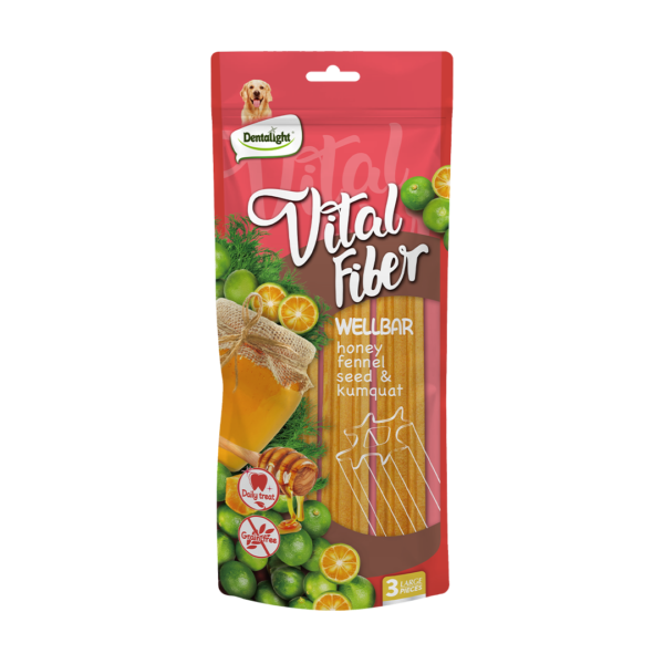 Vital Fiber מקל לעיסה דנטלי בטעם דבש, זרעי שומר ותפוז 250 גרם